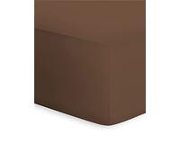 Bassetti Fitted Sheet, Cotton, Brown, 90x190 100x220