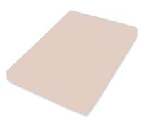 Bassetti Fitted Sheet, Cotton, Cream, 140 x 200 cm, 160 x 220 cm