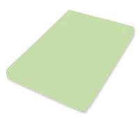 Bassetti Fitted Sheet, Lime, 140 x 200 cm, 160 x 220 cm
