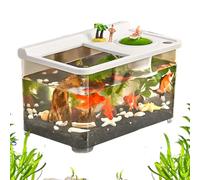 Basta Di Pesce Betta - Glass Aquarium | Fish Tank For Home | Top Hydroponic Aquarium | Tabletop Landscaping Work For Home Entrance For Bedroom Foyer Domestic Fish