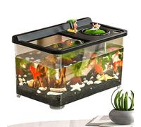 Basta Di Pesce Betta - Glass Aquarium | Fish Tank For Home | Top Hydroponic Aquarium | Tabletop Landscaping Work For Home Entrance For Bedroom Foyer Domestic Fish