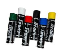 Bastelzone Spray Paint Set 6 Colors 200ml Each Quick Dry Graffiti Spray Cans for Wood, Stone, Metal, Glass Black White Blue Green Red Yellow