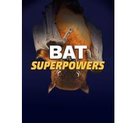 Bat Superpowers
