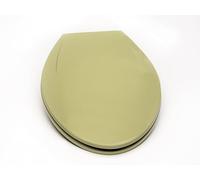 Bath Décor 2Q1E6-58 Deluxe Slow Close Plastic Toilet Seat with Vari Adjust R'N'C Hinge and Quik-Lok Mounting Hardware, Avocado