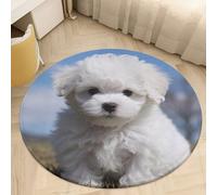 Bath Mats for Bathroom Quick Dry Bath Carpet Bichon Frise Dog Soft Non-Slip Area Rugs Water Absorbent Rugs Door Floor Carpet for Bedroom Dining Room