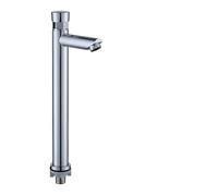 Bathroom Basin Faucets Washbasin Faucet Time Delay Auto Self Closing Cold Water Toilet Saving Tap(Silver C)