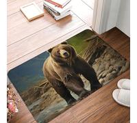 Bathroom Doormat 16" x 24" Non-Slip Front Doormats Brown Bear Door Mat for Bathroom Entryway Mats Welcome Mats for Outdoor Indoor Home Decoration Mat Rectangular Outdoor Mat for Patio