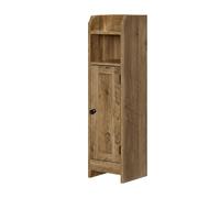 Bathroom floor cabinet with door and adjustable shelves