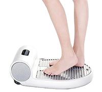 Bathroom Full Body Dryer Hair with Gravity Sensor and Weight Scale, Natural Warm Air Wind and Cool Wind, Whole Waterproof Blow Pet Dry, After Shower for/Swimming Pool
