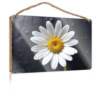 Bathroom Funny Signs A White Daisy with A Yellow Center Plain Wood Signs for Crafts Door Decor(15X28CM)