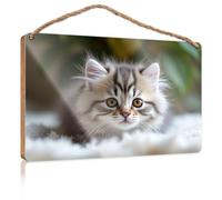 Bathroom Hanging Decor A Fluffy Kitten with Striking Eyes Fall Decorations for Home Farmhouse Teen Room Deco(20X30CM)