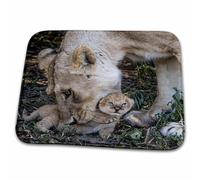 Bathroom Mat Tanzania, Ngorongoro Conservation Area. Lioness Picking Up Cub African Wildlife Ground Mat Plush Water Absorbent Kitchen Rug, For Shower, Bathtub, Toilet, 40x60cm
