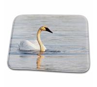 Bathroom Mat Trumpeter Swan, Bird, Seney Nwr, Michigan Ground Mat Water Absorbent Soft Kitchen Rug, For Kitchen, Indoor & Outdoor, Living Room, 40x60cm