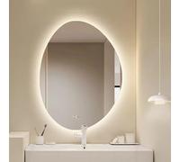 Bathroom Mirror 60x80cm(23.6x31.5in) Irregular Oval Wall Mounted Vanity Mirror with 3-Colour Dimmable LED Lighting, Anti-Fog Function and Explosion-Proof for Bathroom, Makeup Area