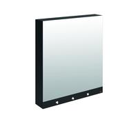 Bathroom Mirror Cabinet Delabie 4-function mirror, electronic, mains, with hand dryer 800x1000x223mm Matte black melamine 510204
