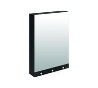 Bathroom Mirror Cabinet Delabie 4-function mirror, electronic, mains, with hand towel 600x1000x223mm Matte black melamine 510205