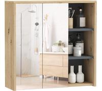 Bathroom Mirror Cabinet Wall Mounted Mirrored Cupboard Storage Unit