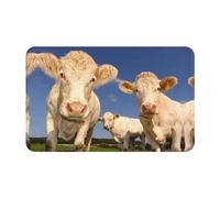 Bathroom Rugs Non Slip Washable - Cows Cattles Kitchen Mats for Floor, Area Rugs for Entryway Rugs Indoor, Bathroom Laundry Room Door Rug with Rubber Backing 20x31.5in
