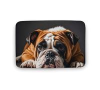 Bathroom Rugs Washable Bath Mat A Sad Bulldog Bath Rug for Bathroom Non-Slip Shower Mat 15.7"x23.6" Absorbent Floor Mat for Door Tub Side Sink Front Kitchen Floor Carpet