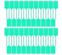 BATHVEVE 100pcs Green Plastic Tags Writable Shipping Labels with Reusable Design, Waterproof Pp Material for Indoor and Outdoor Use, Large Blank Hanging Tags for Product Storage