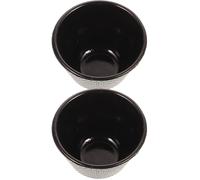 BATHVEVE 2pcs Cast Iron Teacups Japanese Style Retro Kung Fu Tea Set Delicate Iron Tea Cups for Asian at Home
