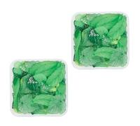 BATHVEVE Acrylic Pendants Leaf-shaped 2 Boxes Safe for Time Use for Jewelry Making for Necklace and Bracelet Crafting, for Jewelry Making and Home Decorations