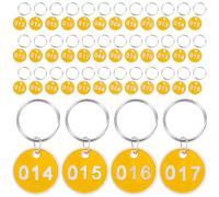 BATHVEVE Aluminium Number Tags Key Ring Labels for Luggage and Keys Metal Baggage Id Tags with Numbers 1-100 Yellow Sturdy Storage Plates for Classify Things