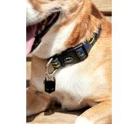Batman - Batman - Dog Collar XS/S