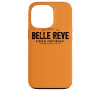 Batman Belle Reve Case for iPhone 13 Pro