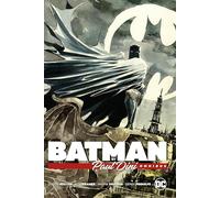 Batman by Paul Dini Omnibus (Dc Batman Omnibus)