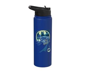 Batman Heed The Call Bat Logo Stainless Steel Insulated Water Bottle