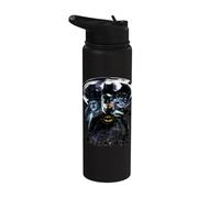 Batman | Official Batman Returns Movie Merch | WBUBTR01 Stainless Steel Insulated Water Bottle