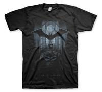 BATMAN Officially Licensed I Am The Shadows Mens T-Shirt (Black), XX-Large