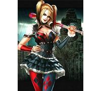 Batman Poster Arkham Harley Quinn Photo Wall Art Picture A4