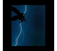 Batman The Dark Knight Returns Cover Sweatshirt - Black - 4XL