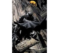 Batman Time And The Batman HC