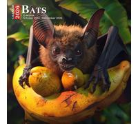 Bats Calendar 2026: Nocturnal Flyers Captured in Their Mysterious Glory
