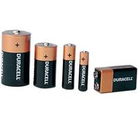 Duracell Plus Power AA Alkaline Batteries (24 Pack)