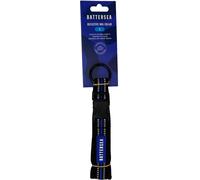 Battersea Reflective Dog Collar Blue S