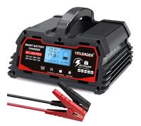 Battery Charger 25A, 12V/24V Lead Acid Smart Battery Charger, 12V LiFePO4 Car Battery Trickle Charger, Automatic Battery Maintainer for Car Motorcycle Lawn Mower Marine Boat Lead Acid Batteries