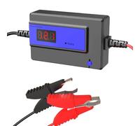 Battery Desulfator，Battery Maintainer for Cars, Trucks, Motorcycles, ATV, Boats, RV,Auto-Setting,400AH,12-48V (blue)