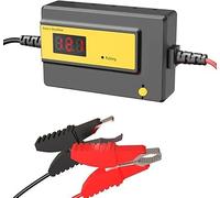 Battery Desulfator，pulse repair for Cars, Trucks, Motorcycles, ATV, Boats, RV,Auto-Setting (12-72V,400AH)