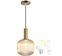 Battery Operated Wireless Pendant Lights USB Rechargeable Hanging Light with Remote Timer Modern Gold Amber Ball Chandelier Ceiling Light Fixtures for Bedroom Living Dining Room Hallway(Set of 1)