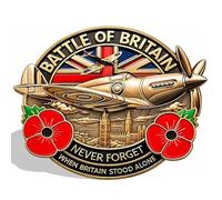 Battle of Britain Pin Badges, Poppy Badge and Pins Spitfire British Legion Commemorative Brooch Never Forget Poppies Pin Gifts for Remembrance Day Military Enamel Badges (Metal）