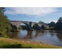 Battle of Stirling Bridge and Bannockburn Tours (Half Day)