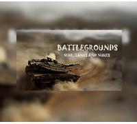 BattleGrounds : War, Tanks And Nukes Steam CD Key
