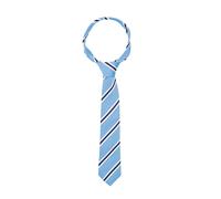 Battles Supreme Products Show Blue and Navy Stripe Tie - One Size