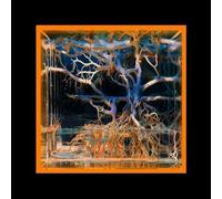 Batu - Question Mark [Vinyl LP] [VINYL]