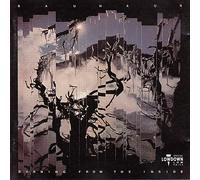 Burning from the Inside