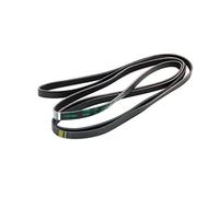 Bauknecht 1965H6 Tumble Dryer Drive Belt Original part no. 481235818186 C00313102